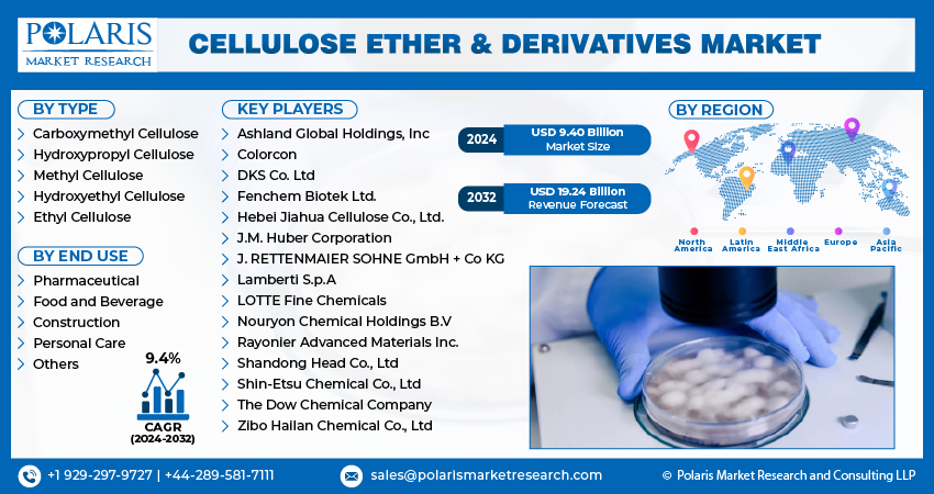 Cellulose Ether & Derivatives Market Info